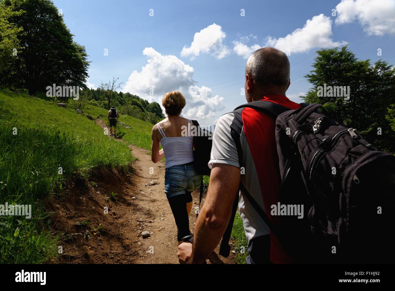 Rear view of three mature hikers hiking up path Stock Photo