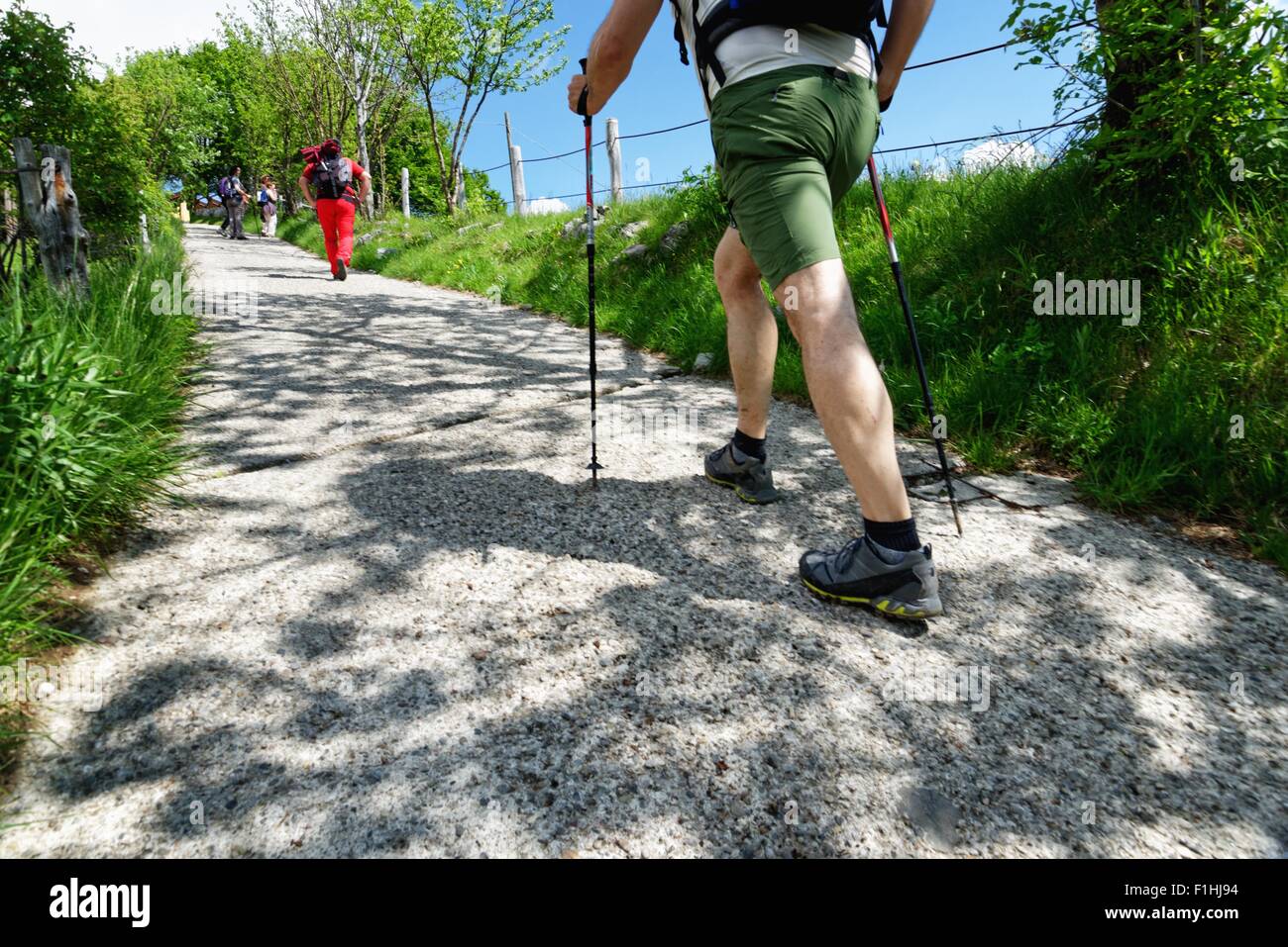 Rear view of mature male and female hikers hiking on rural road Stock Photo