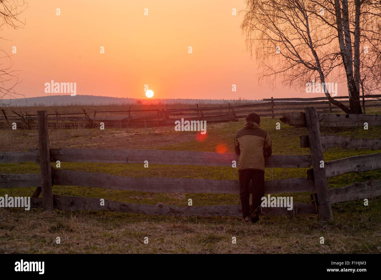 Mid adult man leaning on fence in field, watching the sun set, rear view Stock Photo