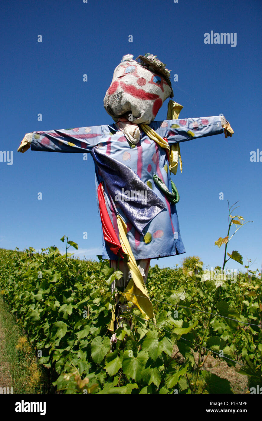 Vogelscheuchen im Weinberg. Stock Photo