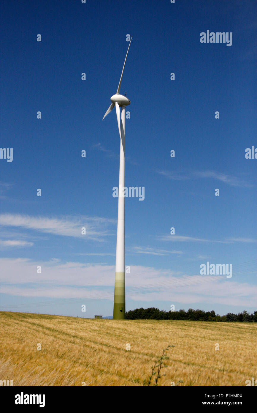 Windkraftraeder bei Zornheim, Rheinhessen. Stock Photo