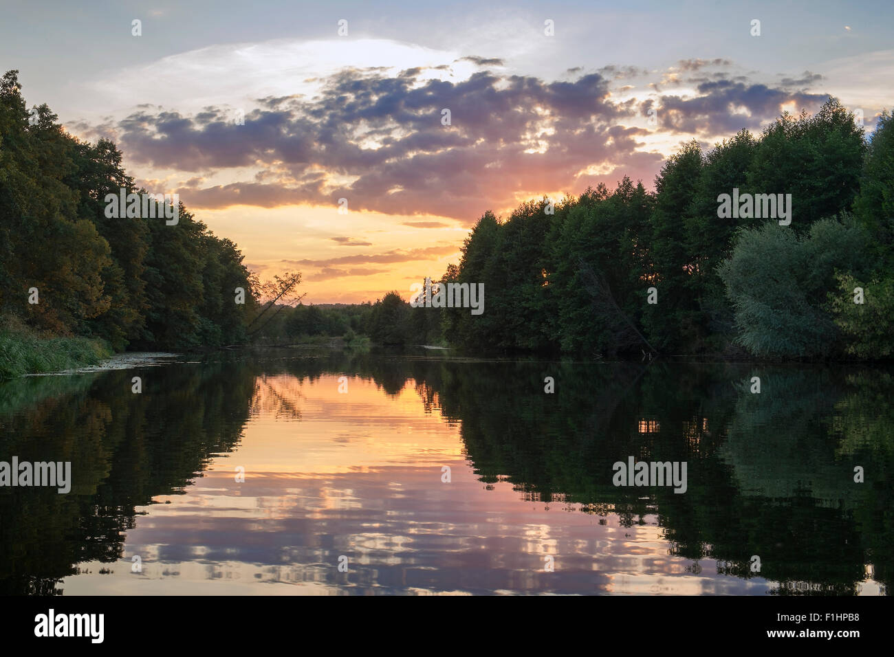 Sunset over river in forest Stock Photo - Alamy
