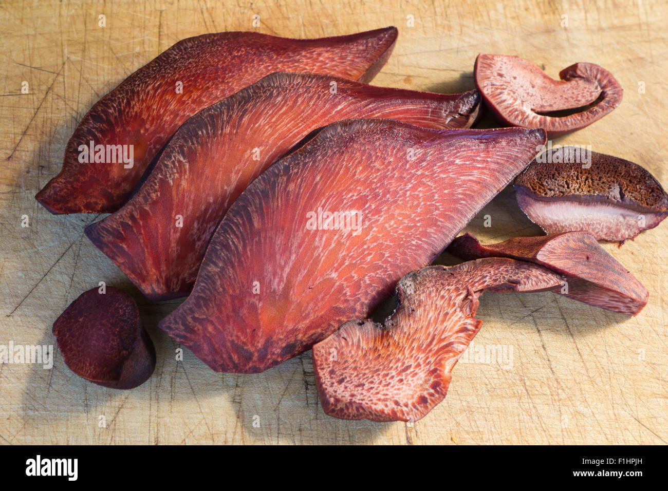 Section by fungus liver Fistula Needles or Beefsteak fungus also known as ox tongue (Fistulina hepatica) Stock Photo