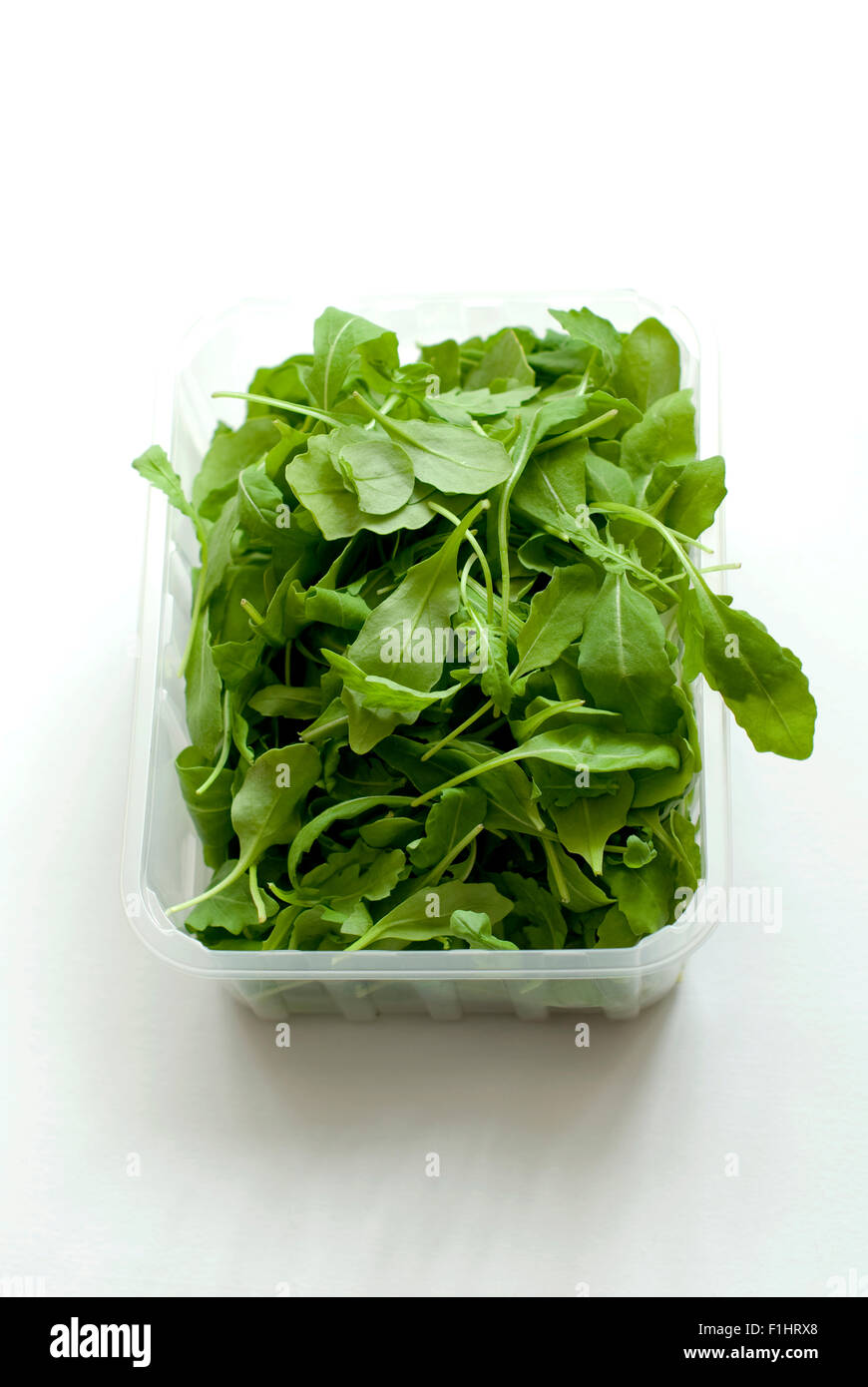 Still life food image of organic salad vegetable - Rocket in a plastic container Stock Photo