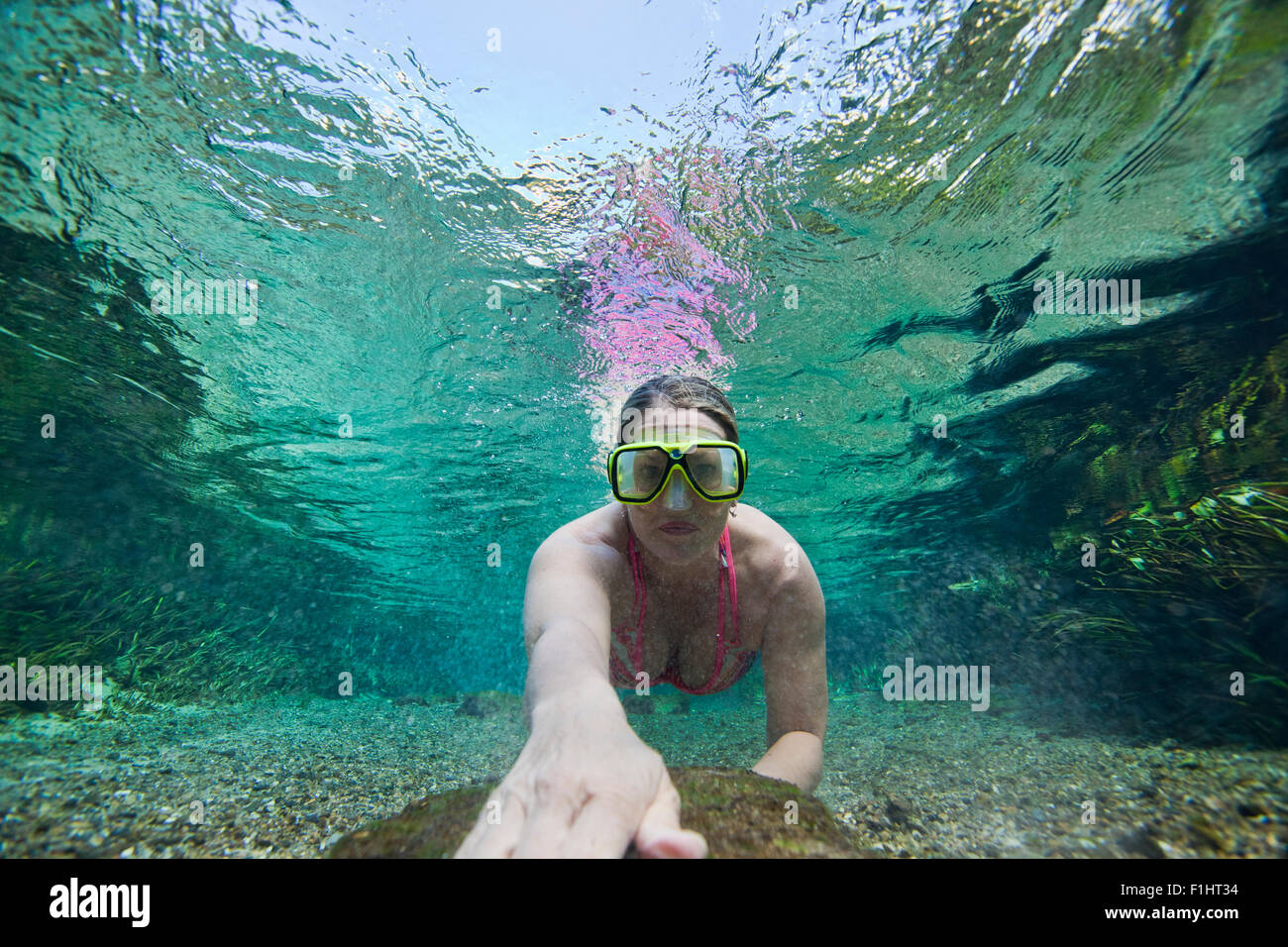 Underwater Photo showing a female swimmer swim through Rock Springs Run in Kelly Park in Central Florida Stock Photo