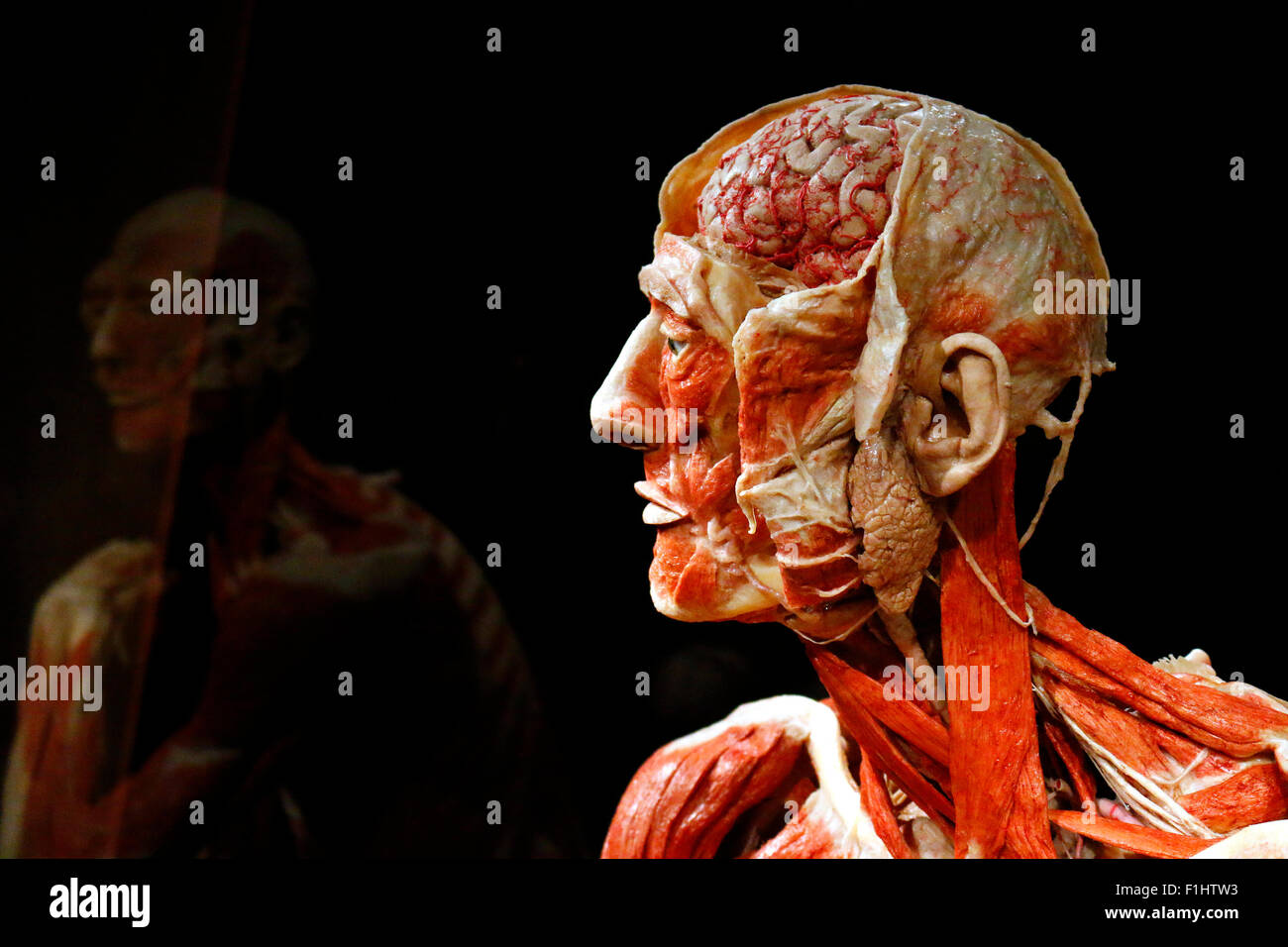 Impressionen - Eroeffnung des "Menschen Museums" mit Plastinaten von menschlichen Koerpern, Alexanderplatz, 17. Februar 2015, Be Stock Photo