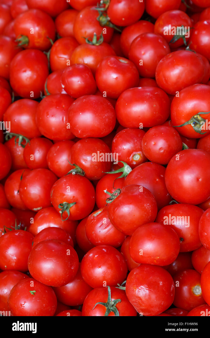 background of fresh red tomatoes in market Stock Photo - Alamy