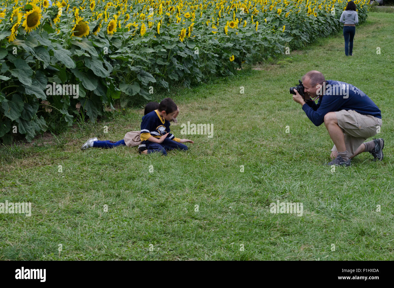 Man taking picture of Sunflower field with SLR camera. Stock Photo