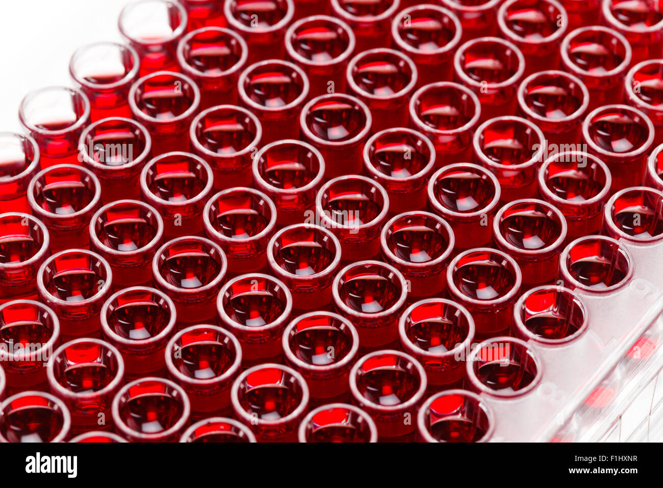 test tubes with red liquid, it is possible blood Stock Photo