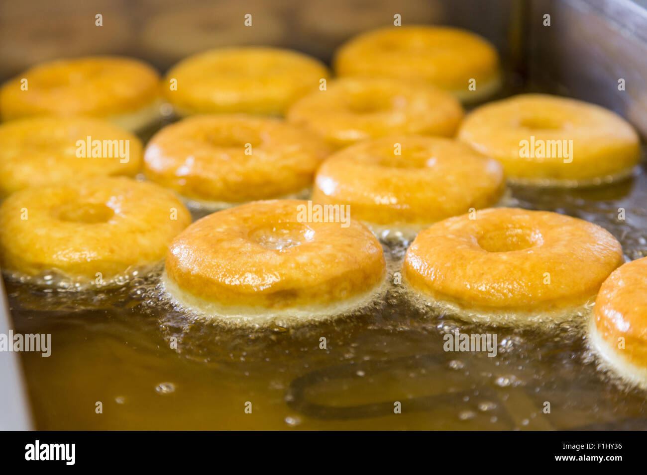 fried equal round doughnuts in deepfryer on manufacture Stock Photo