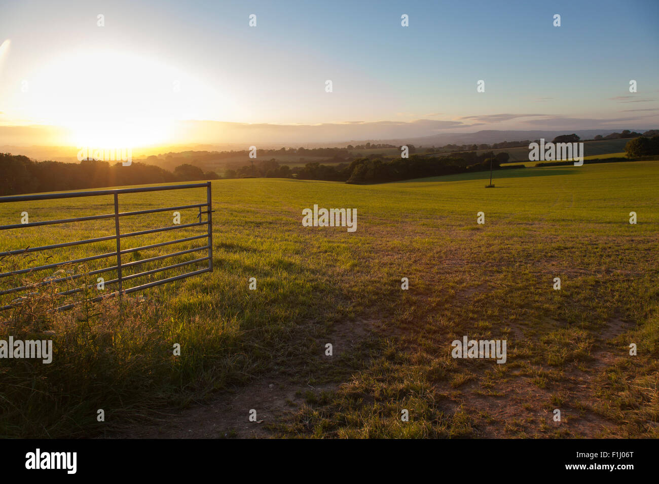 A galvanised metal gate opens onto a pasture with hills and sunset in the background, East Devon, England. Stock Photo