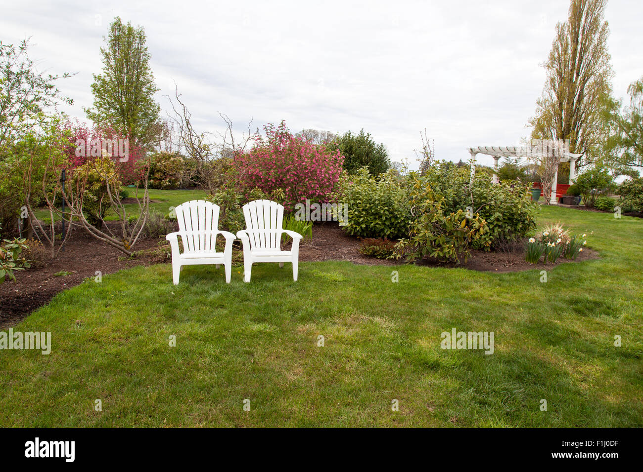 Two white lawn chairs sit next to each other in a landscaped yard with