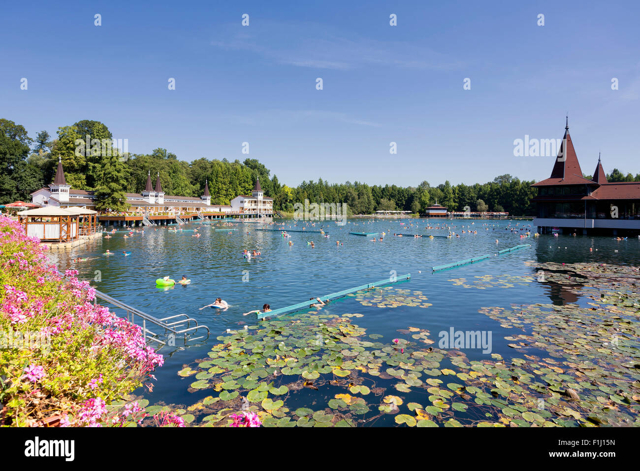 Heviz Lake Heviz Thermal Spa near Lake Balaton, Hungary Stock Photo - Alamy