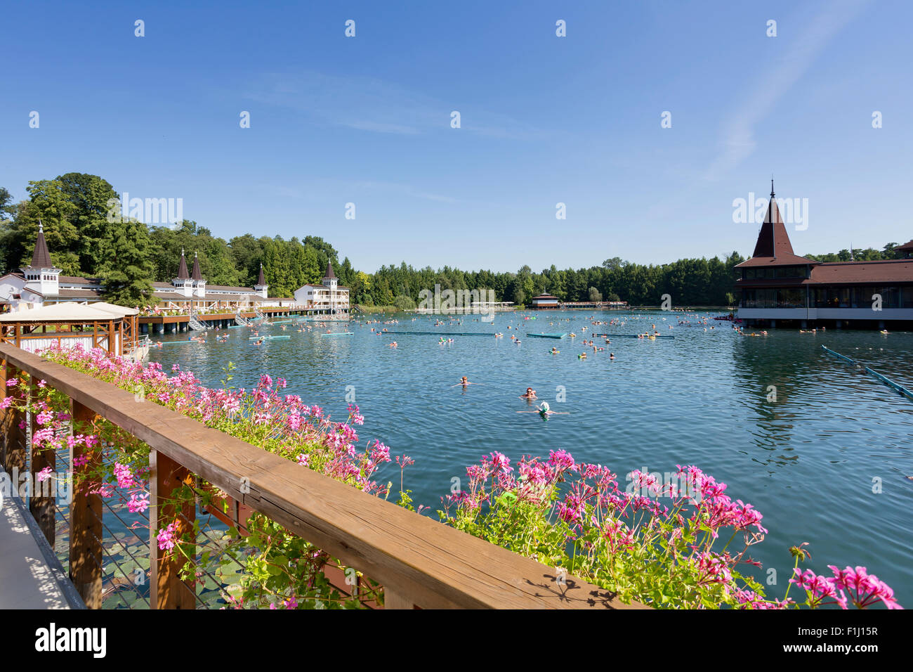 Heviz Thermal lake hi-res stock photography and images - Alamy