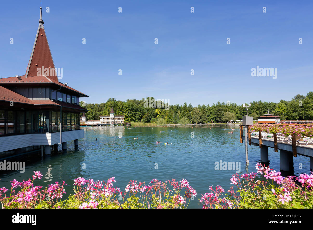 Lake Heviz Thermal Spa near Lake Balaton, Hungary Stock Photo - Alamy