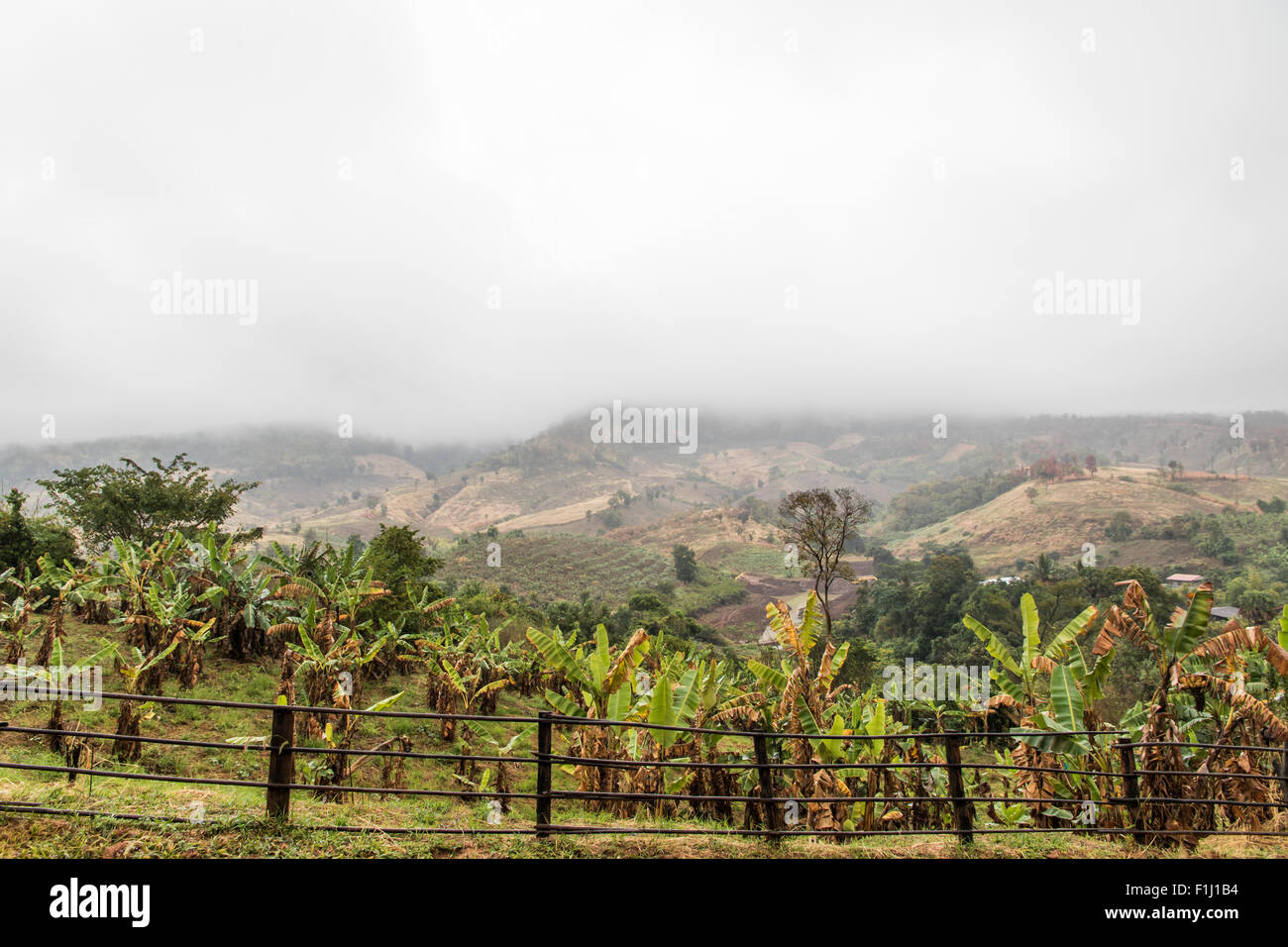 Landscape in country thailand hi-res stock photography and images - Alamy