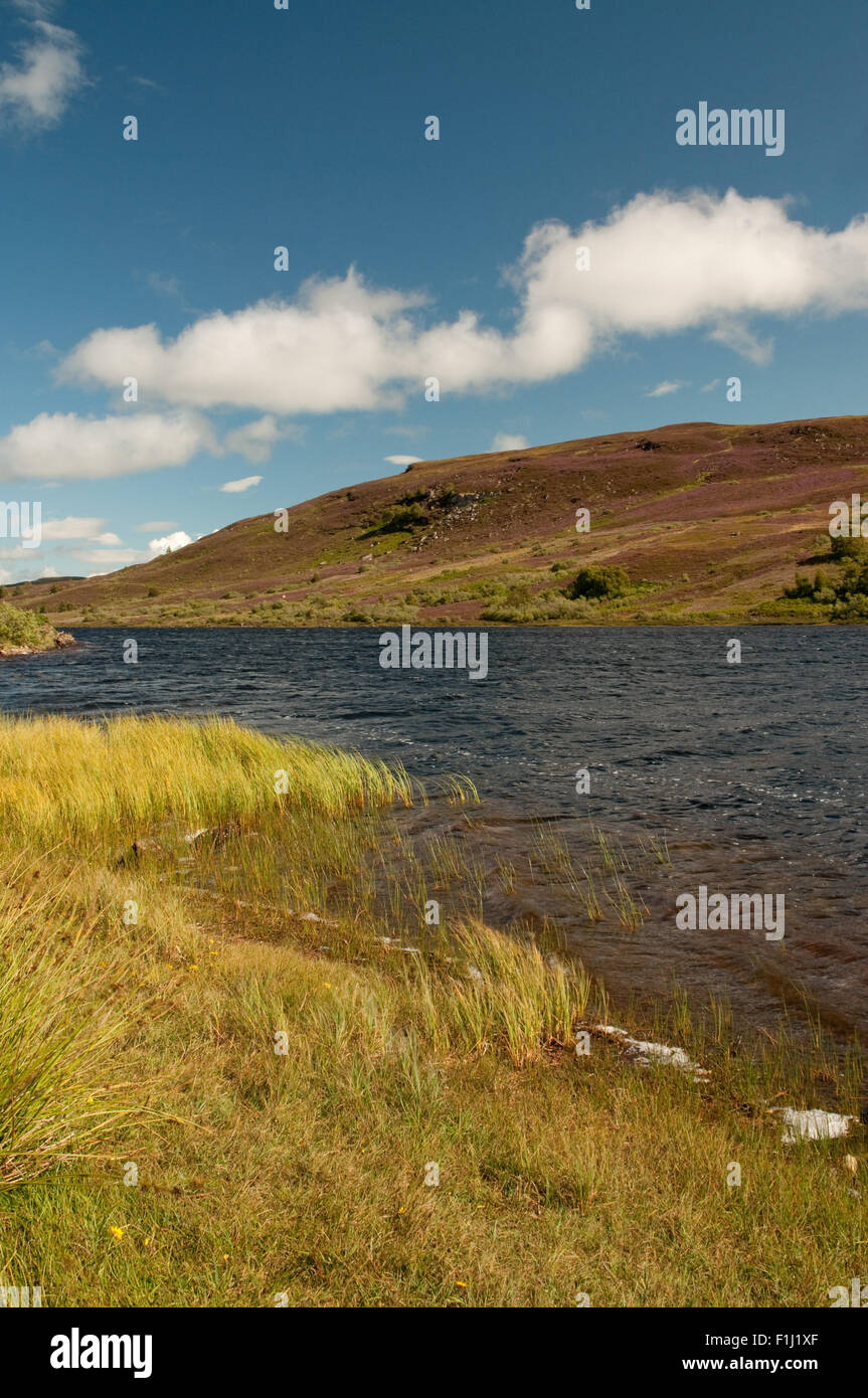 Heather out in flower at Loch Ceo Glais Stock Photo