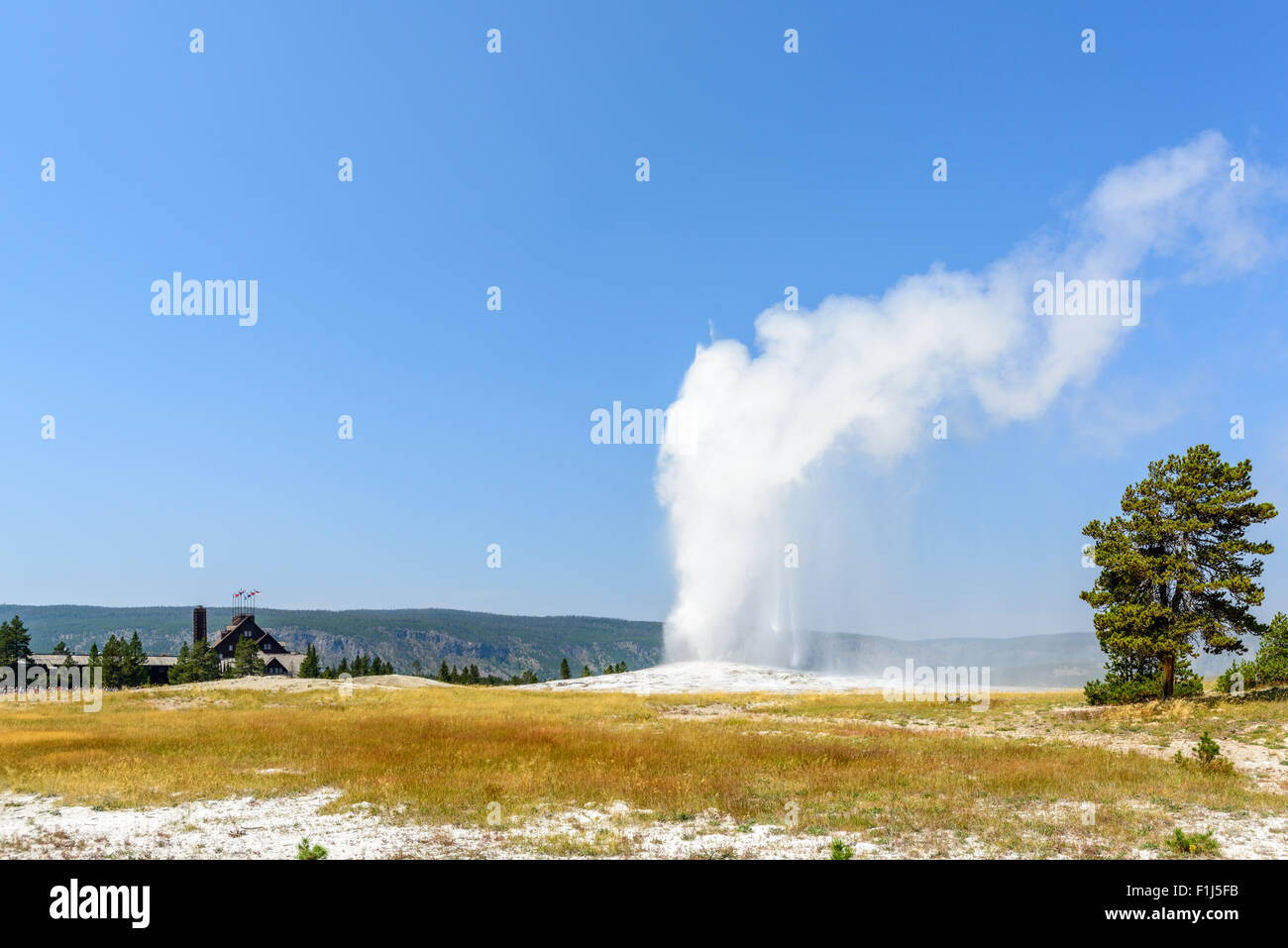 A crowd watches the Old Faithful geyser erupt during a summer visit to Yellowstone National Park Stock Photo