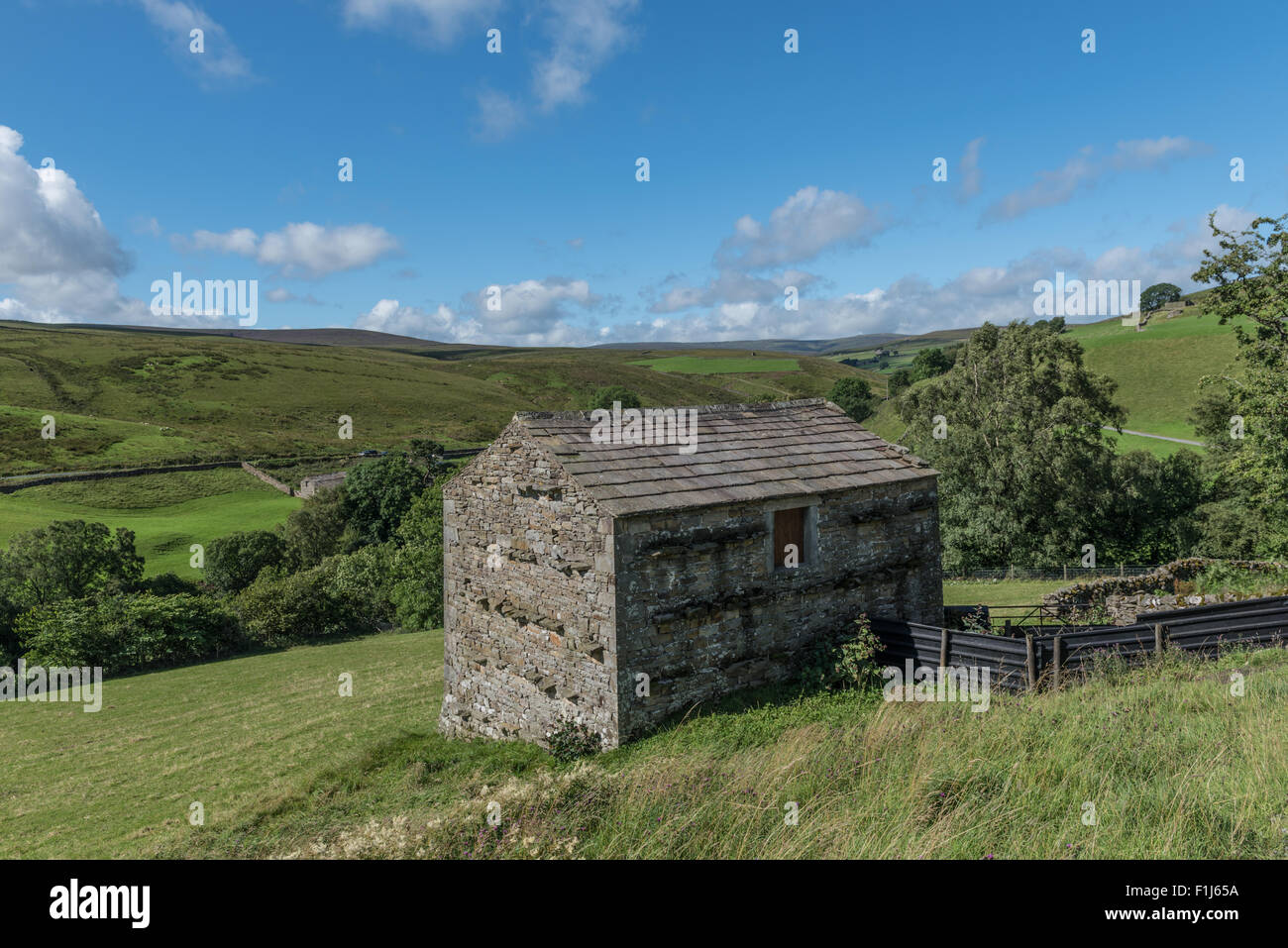 A Dales barn above Park Bridge in Swaledale Stock Photo