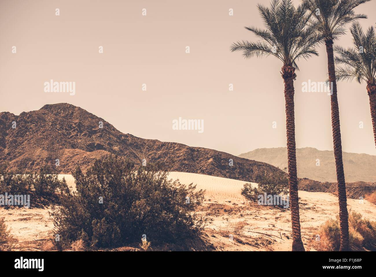 Palm Desert California Area. Palm Trees, Desert Sand Dunes and the Mountain. Southern California, United States Stock Photo