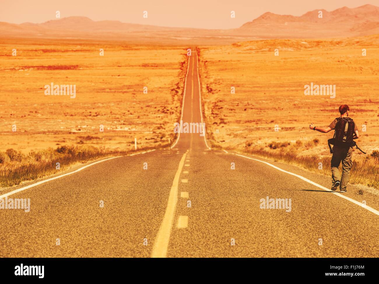 The Hitchhiker. Man Hitchhiking on a Country Road in Rural Nevada