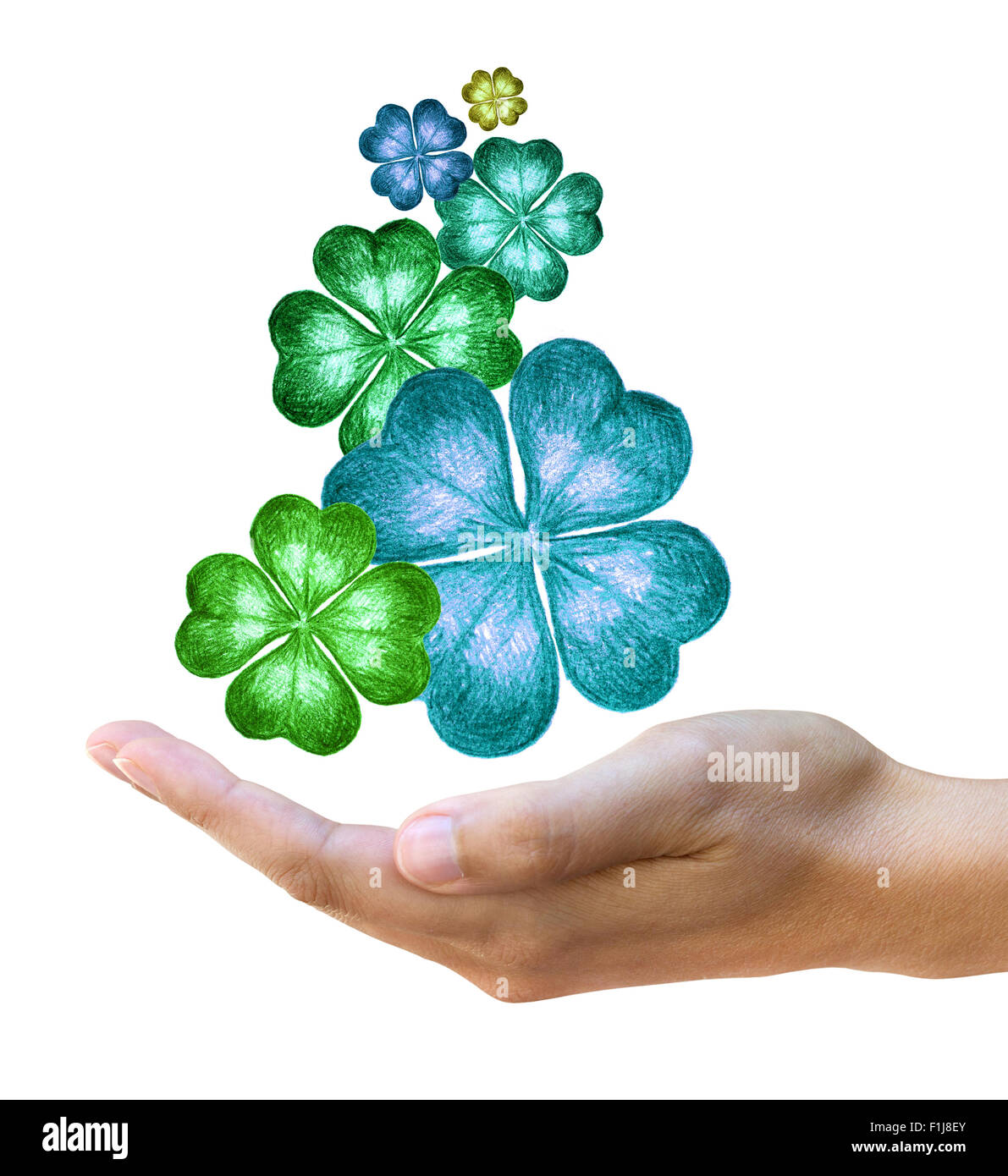 Four Leaf Clovers High Resolution Stock Photography and Images - Alamy