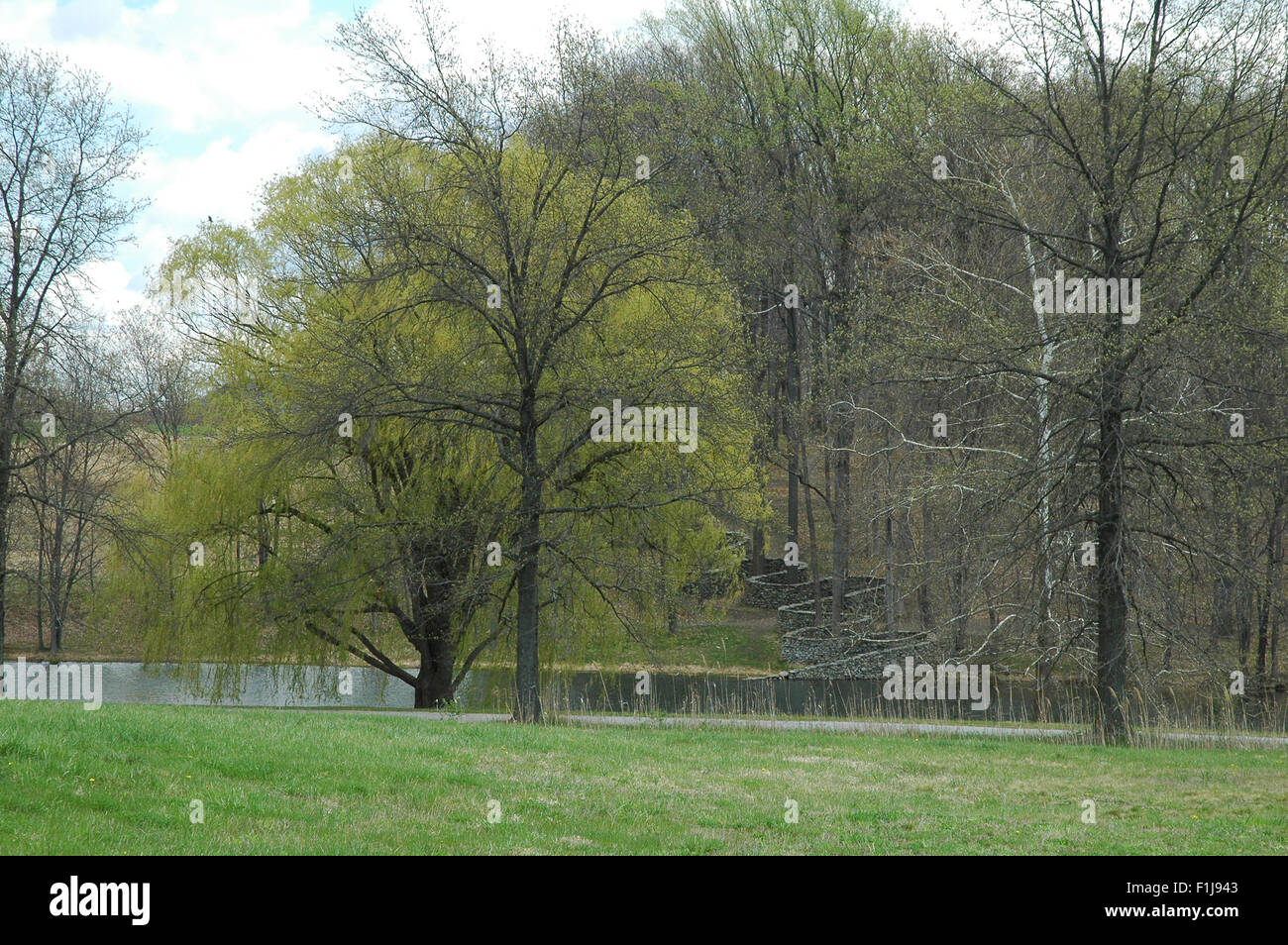 Andy Goldsworthy 1997-1998 Stock Photo