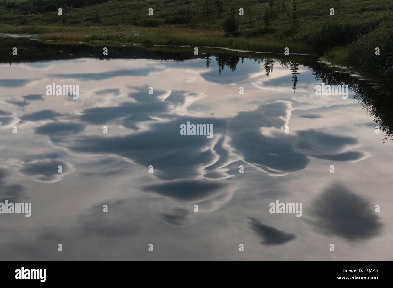 Kettlehole pond reflects cloudy sky hires stock photography and images