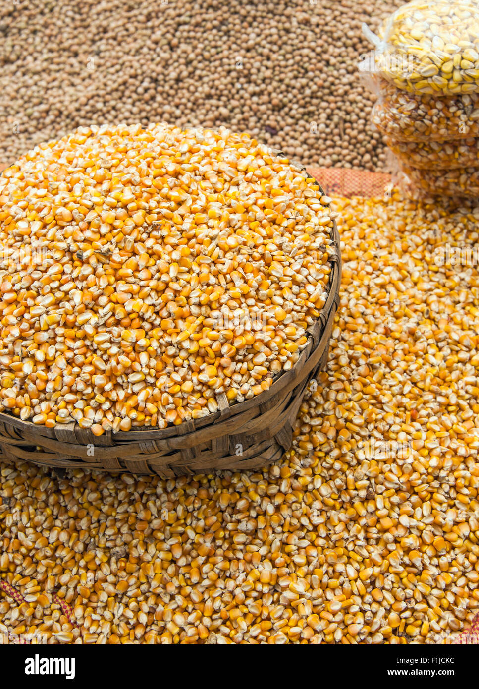 Corn Harvest In The Andes Stock Photo