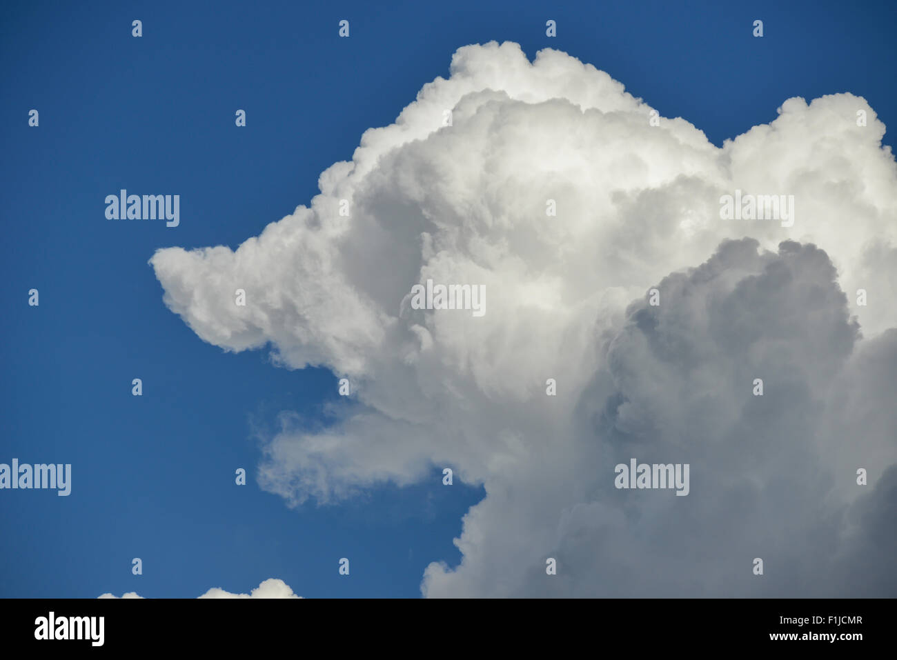 Dog-shaped cloud against blue sky near Heathrow Airport, Greater London, England, United Kingdom Stock Photo