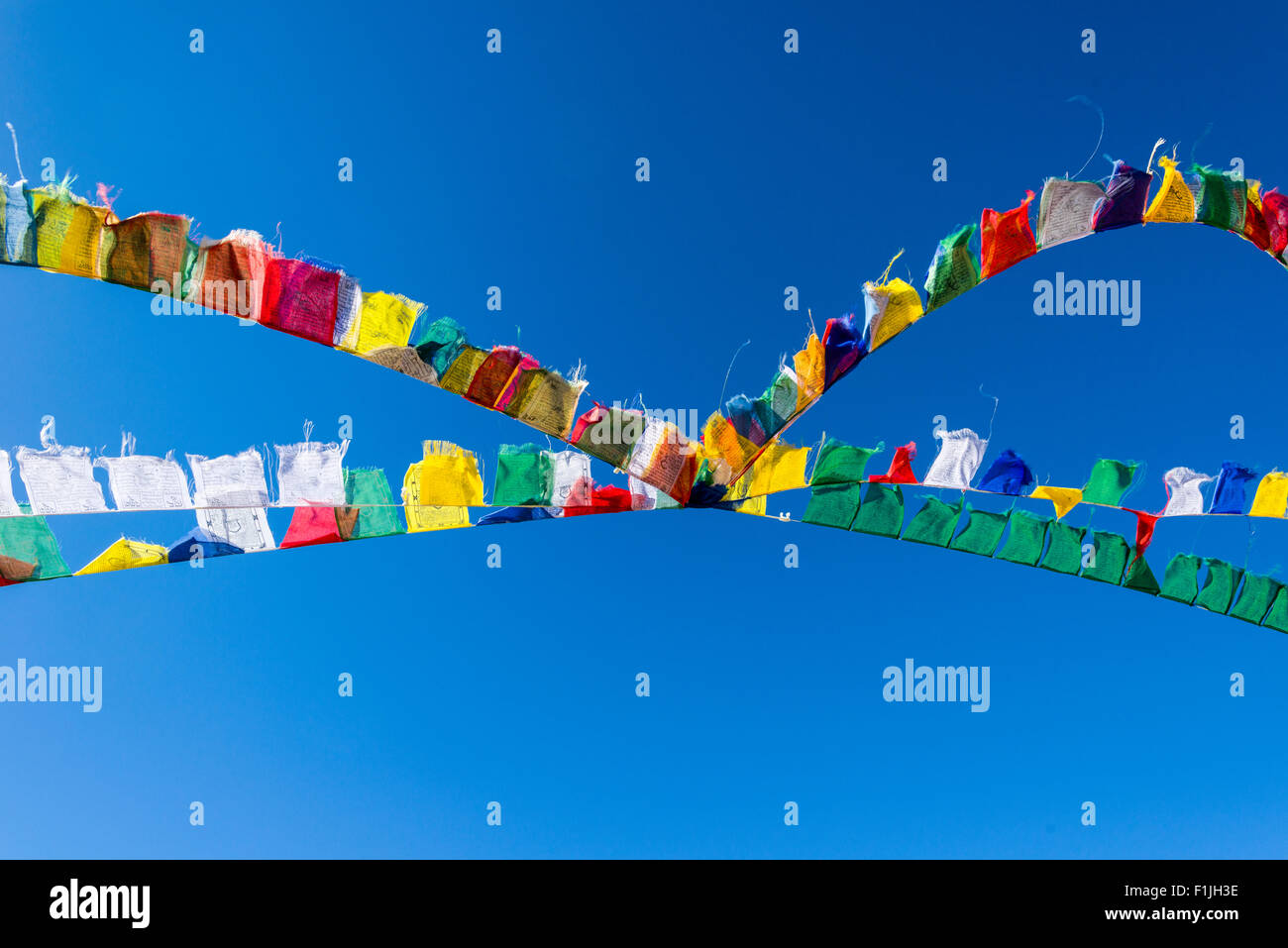 Colorful Tibetan prayer flags waving against blue sky, Leh, Jammu and Kashmir, India Stock Photo