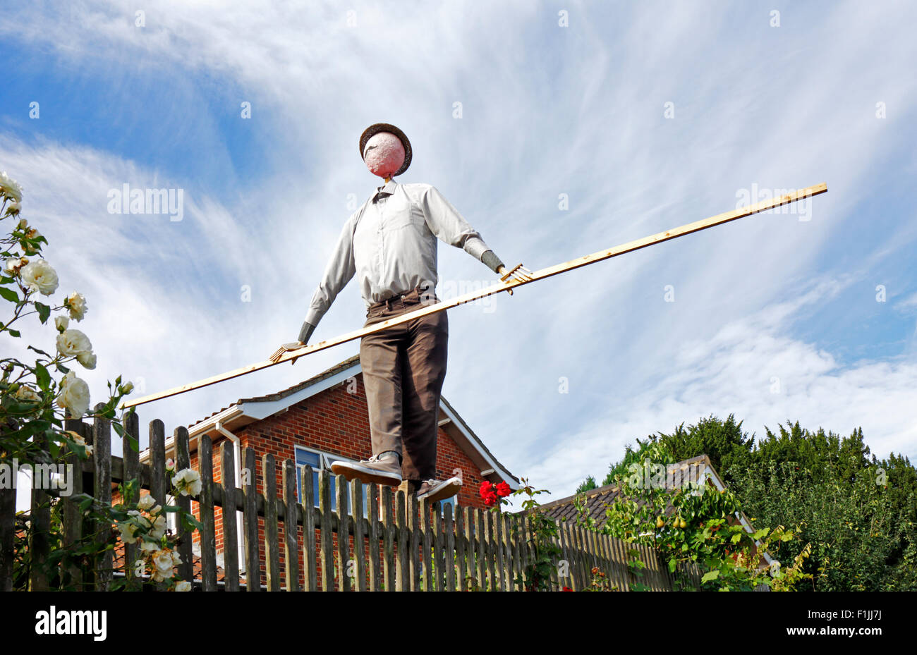 Balancing pole hi-res stock photography and images - Alamy