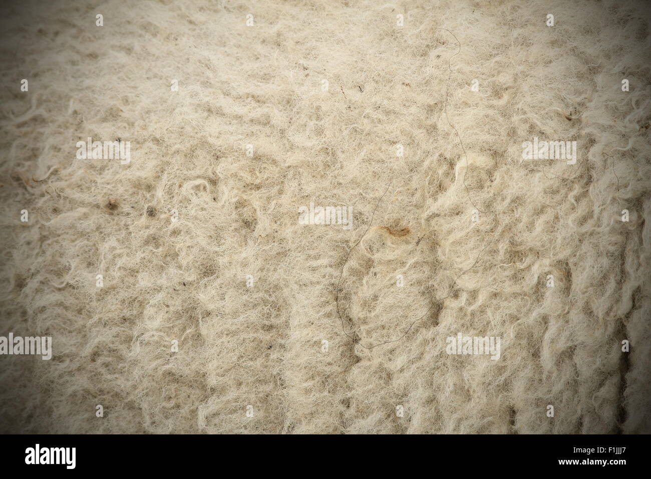 textured white sheep fur with added vignette Stock Photo