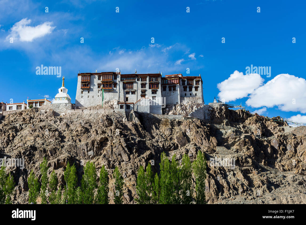 Stakna Gompa on a hill above the Indus Valley and surrounded by green trees, Stakna, Jammu and Kashmir, India Stock Photo