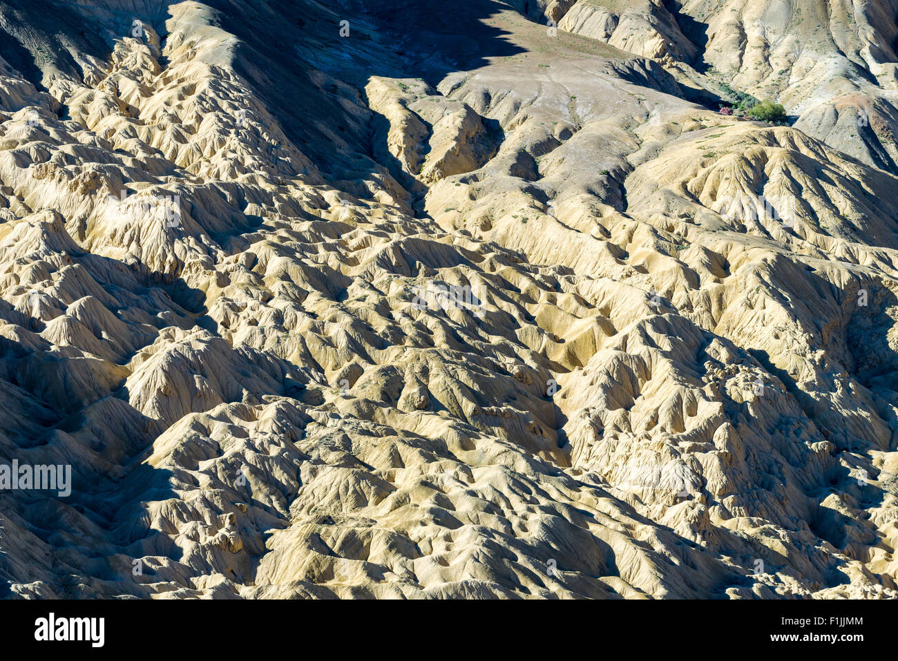 The Moonlands, a special type of yellow rocks, barren landscape, Lamayuru, Jammu and Kashmir, India Stock Photo