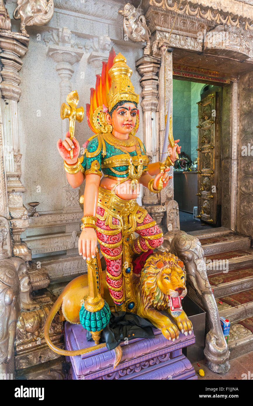 Hindu Goddess Statues Photography