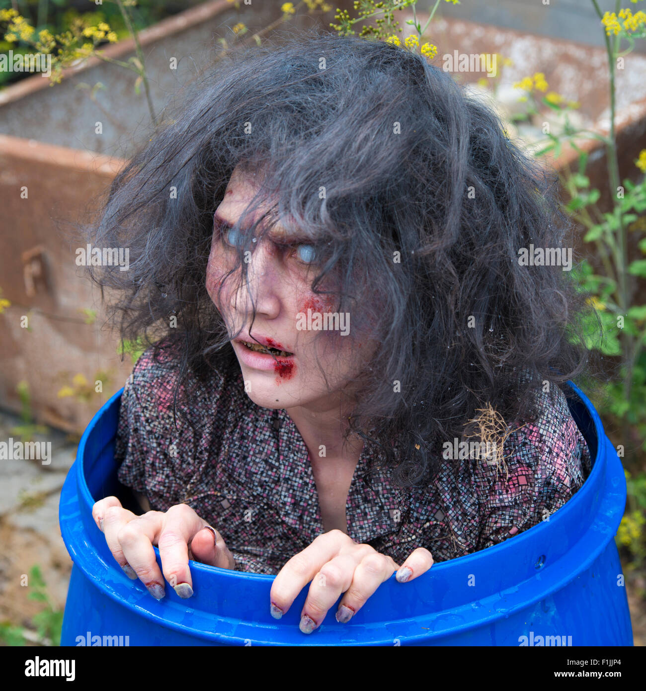Zombie in a rain barrel, film shooting, scene from a zombie comedy, short film Brain Freeze Stock Photo