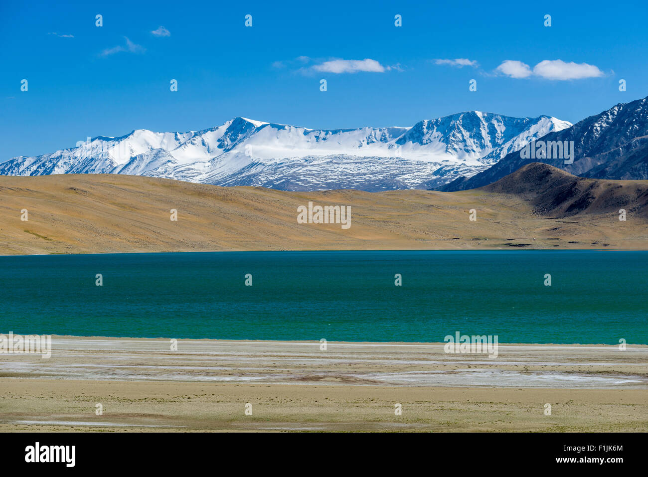 Barren landscape with a blue lake and snow capped mountains, Changtang area, Korzok, Jammu and Kashmir, India Stock Photo