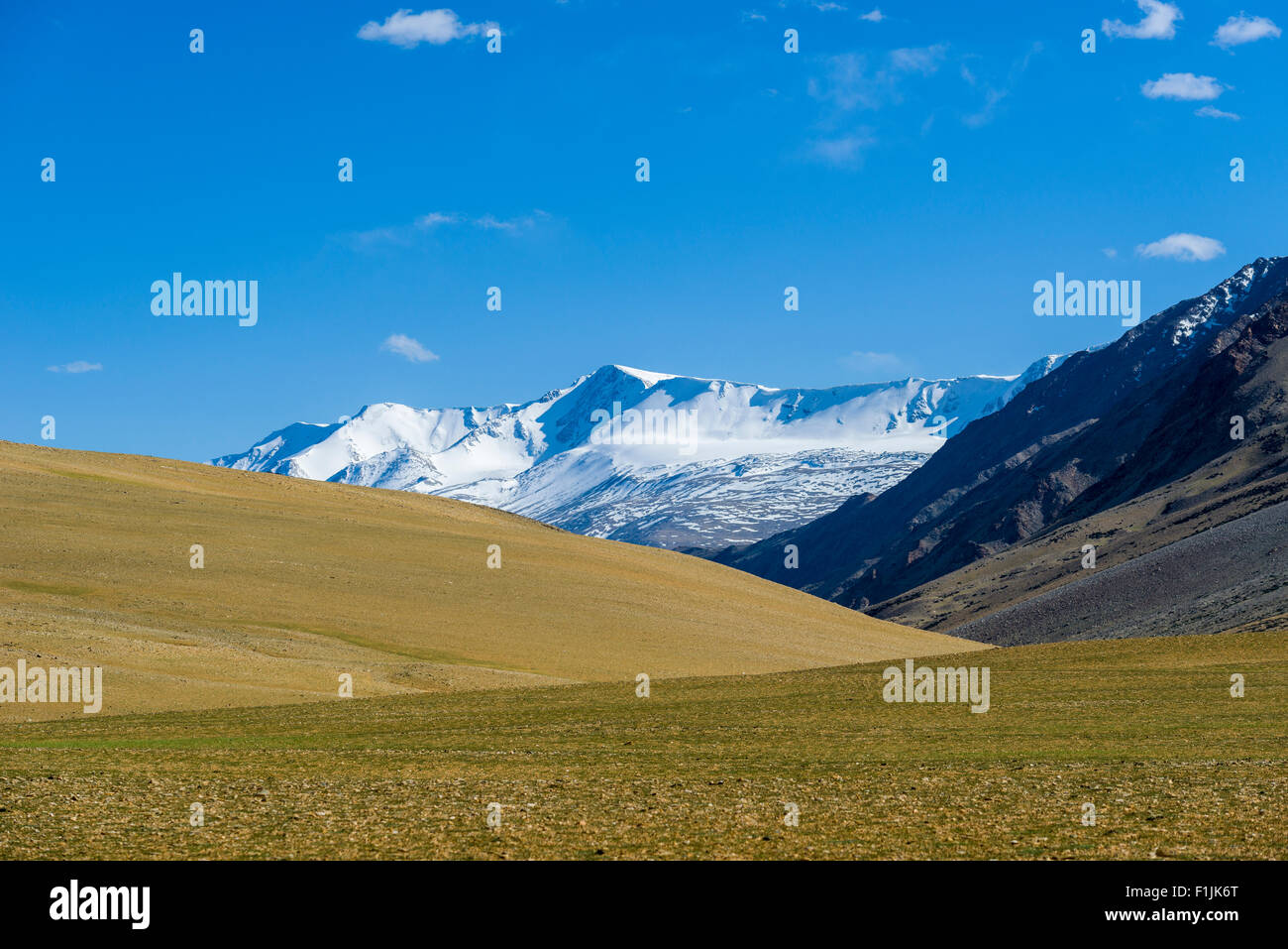 Barren landscape with snow capped mountains, Changtang area, Korzok, Jammu and Kashmir, India Stock Photo