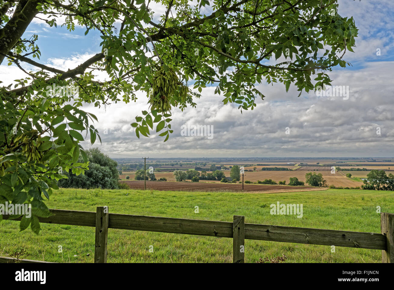 A view across the fertile arable farmland of the Lincolnshire Fens,UK HDR effect Stock Photo