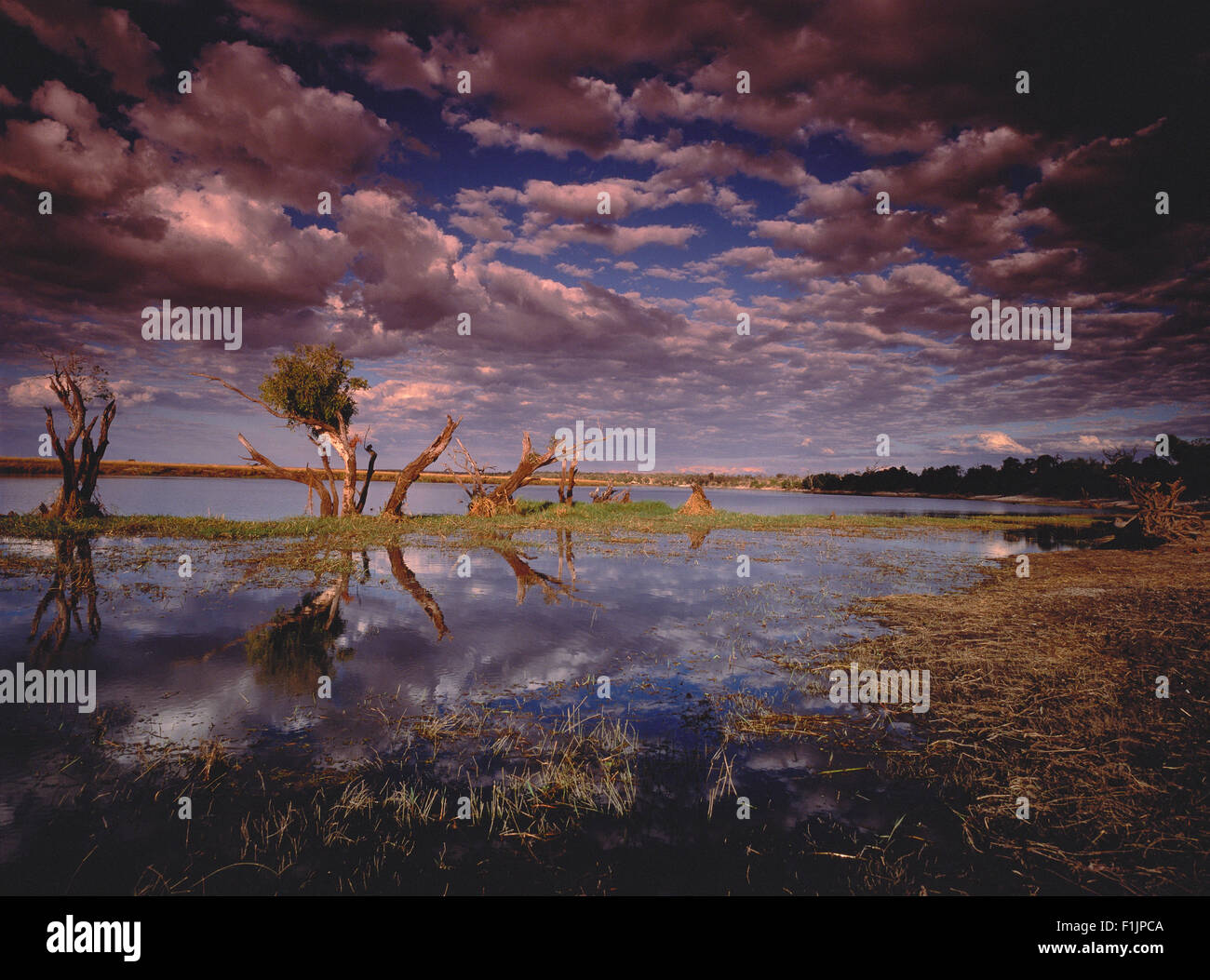 Chobe River and Cloudy Sky Botswana, Africa Stock Photo
