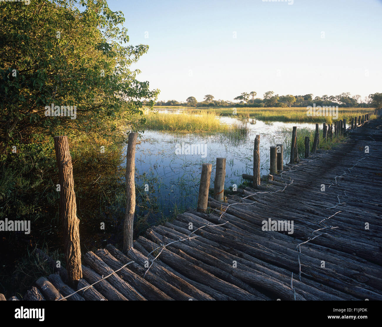Wooden walkway Over Marsh, Botswana, Africa Stock Photo Alamy