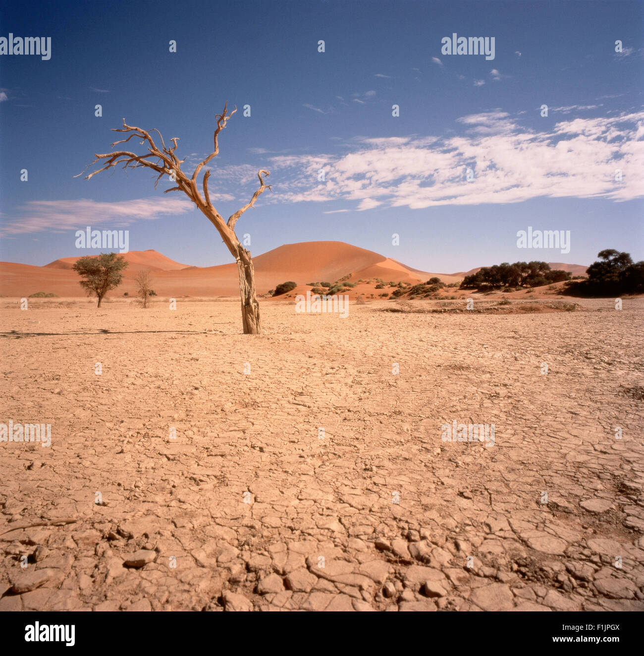 Desert Sossusvlei, Namib Desert, Namibia, Africa Stock Photo