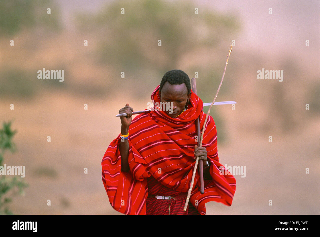 Masai Tribesman, Tanzania, Africa Stock Photo