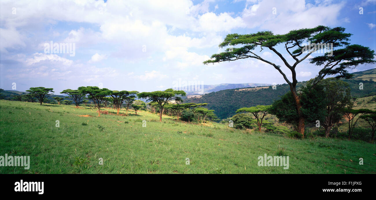 Landscape, Tanzania, Africa Stock Photo