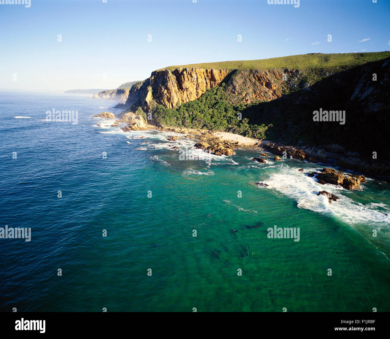 Coastline Tsitsikamma Coastal National Park Eastern Cape, South Africa Stock Photo