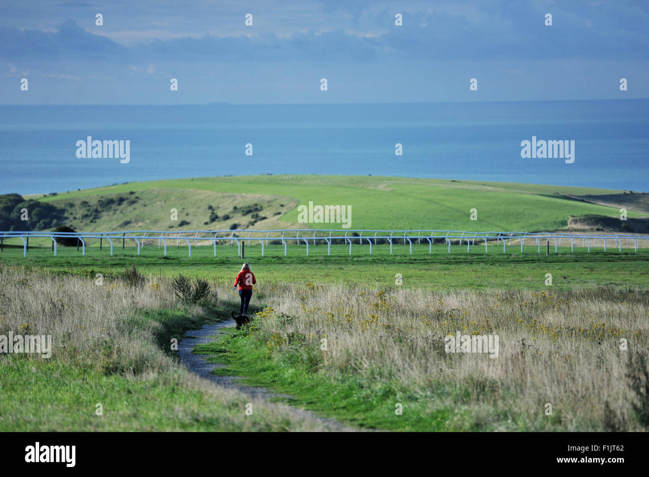 Brighton, UK. 3rd September, 2015. A woman out with her dog on Sheepcote Valley Brighton near where a notice warning that Extra-terrestrial life forms have been spotted in fields near the Racecourse last weekend Stock Photo