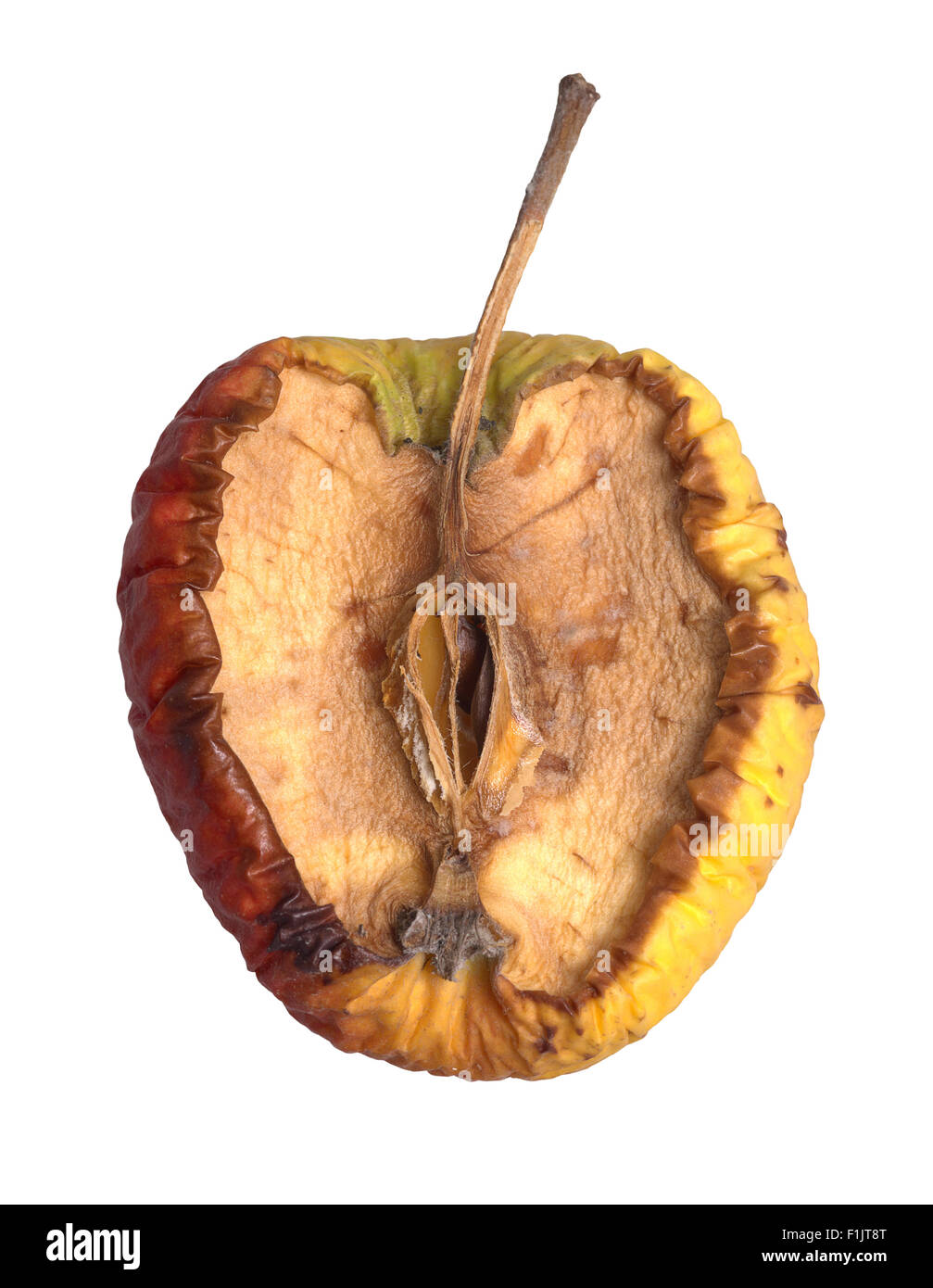 Apple with rotten core hires stock photography and images Alamy