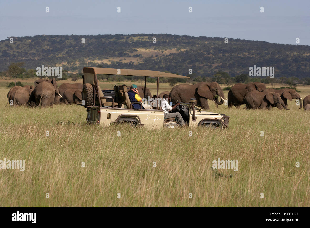 Safari with elephants, Singita Grumeti, Tanzania Stock Photo
