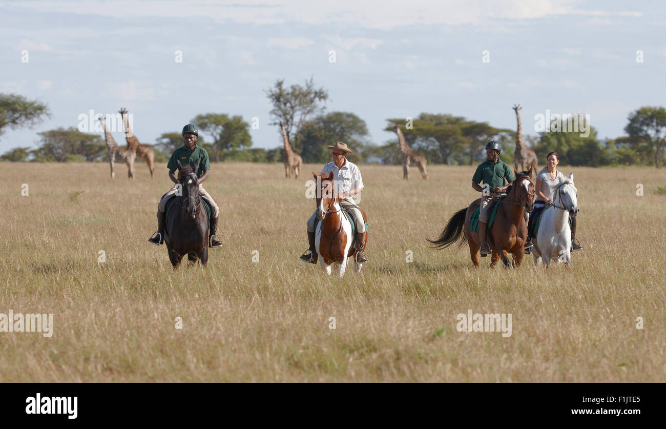 Safari on horseback, giraffe in the background, Singita Grumeti, Tanzania Stock Photo
